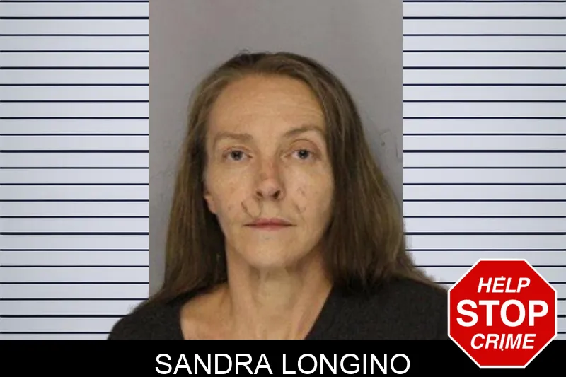 Sandra Longino mugshot – Hall County , Georgia Sandra Longino mugshot