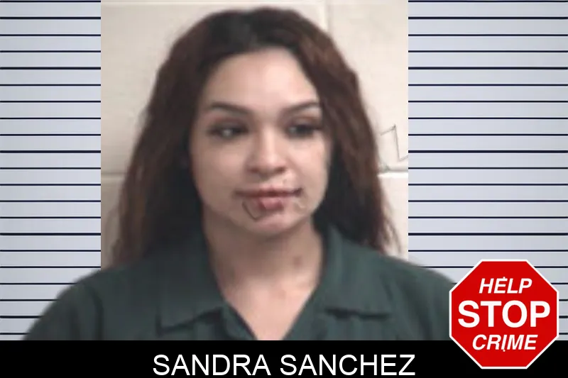Sandra Sanchez mugshot