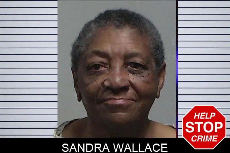 Sandra Wallace mugshot