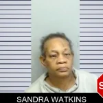Sandra Watkins mugshot