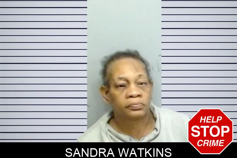 Sandra Watkins mugshot