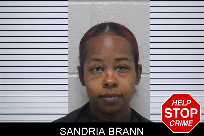 Sandria Brann mugshot
