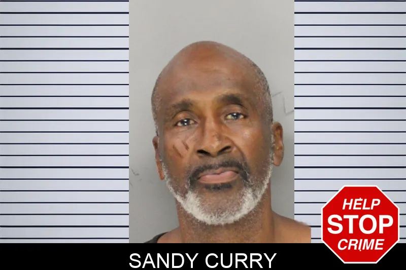 Sandy Curry mugshot