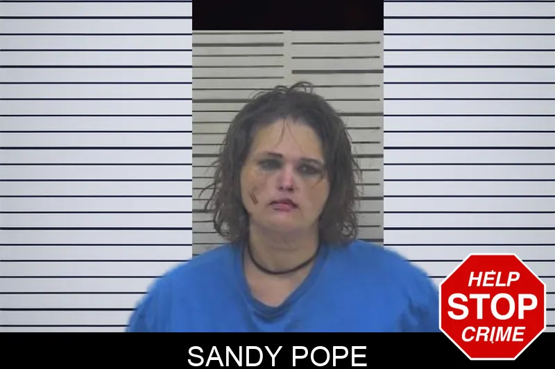 Sandy Pope mugshot – Coffee County , Georgia Sandy Pope mugshot