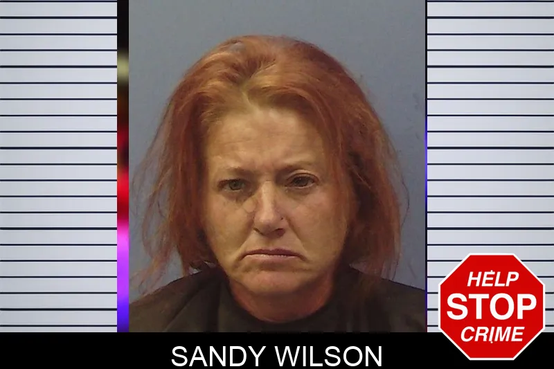 Sandy Wilson mugshot