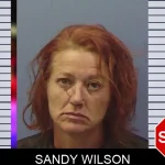 Sandy Wilson mugshot
