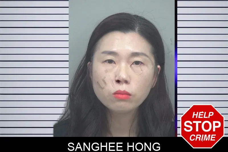 Sanghee Hong mugshot – Gwinnett County , Georgia Sanghee Hong mugshot
