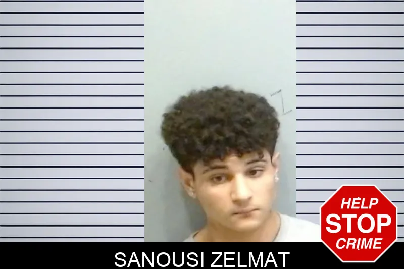 Sanousi Zelmat mugshot – Fulton County , Georgia Sanousi Zelmat mugshot