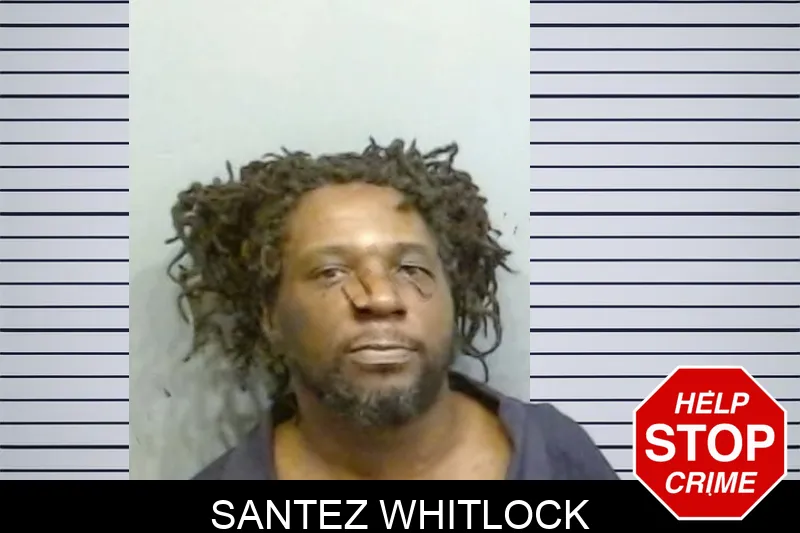 Santez Whitlock mugshot