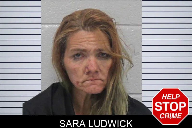 Sara Ludwick mugshot
