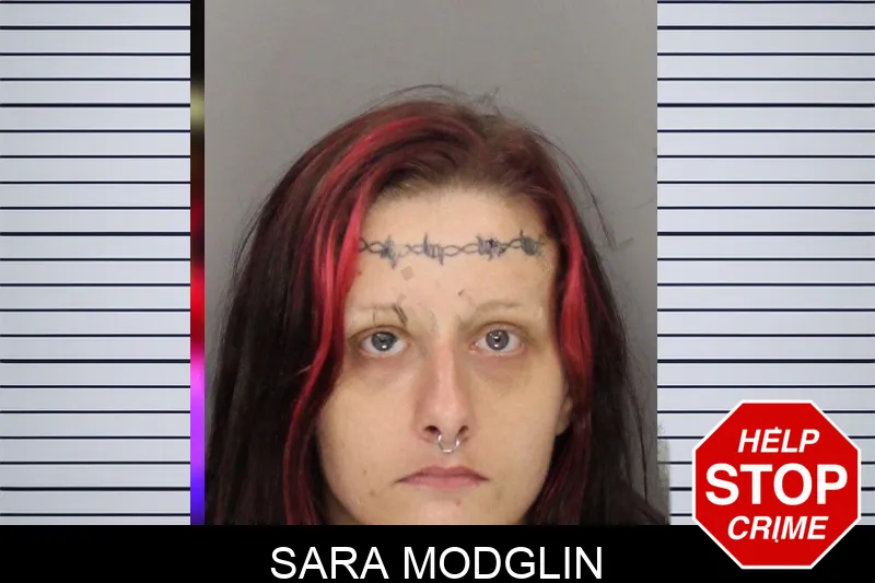 Sara Modglin mugshot