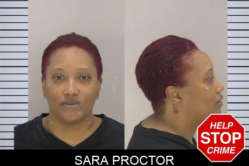 Sara Proctor mugshot