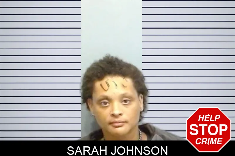 Sarah Johnson mugshot – Fulton County , Georgia Sarah Johnson mugshot