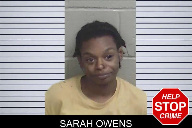 Sarah Owens mugshot – Wayne County , Georgia Sarah Owens mugshot
