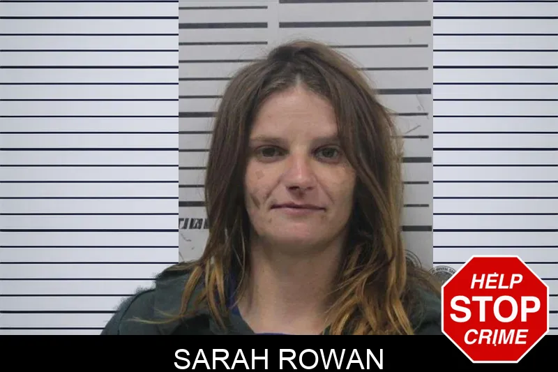Sarah Rowan mugshot – Colquitt County , Georgia Sarah Rowan mugshot