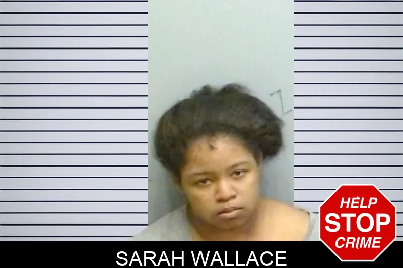 Sarah Wallace mugshot