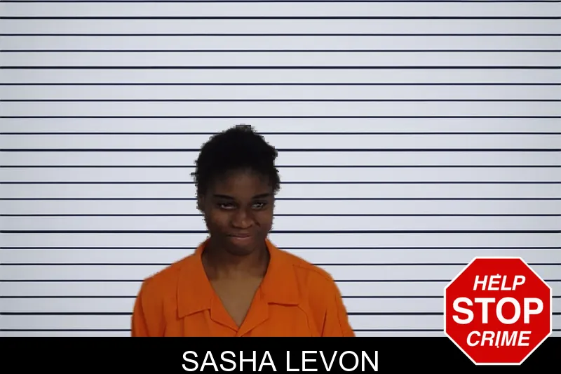 Sasha Levon mugshot