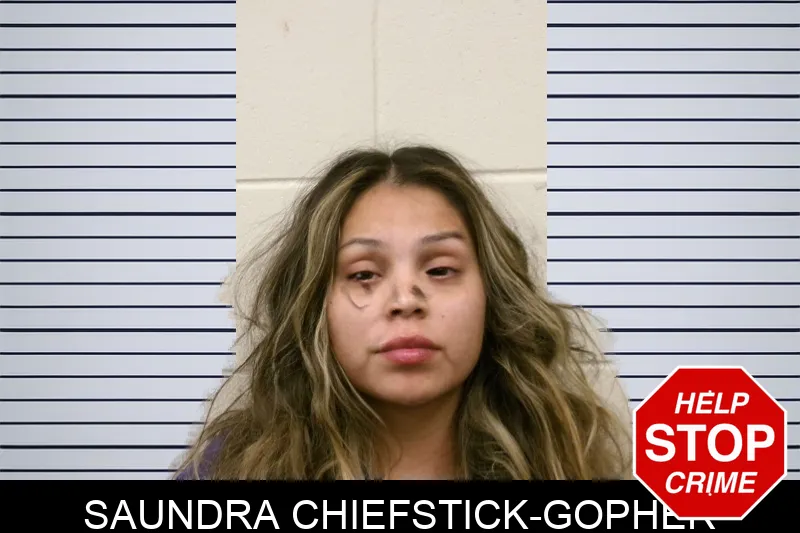 Saundra Chiefstick-Gopher mugshot – Bulloch County , Georgia Saundra Chiefstick-Gopher mugshot