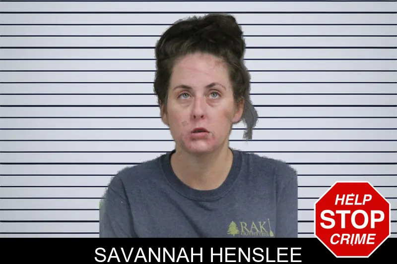 Savannah Henslee mugshot – Catoosa County , Georgia Savannah Henslee mugshot