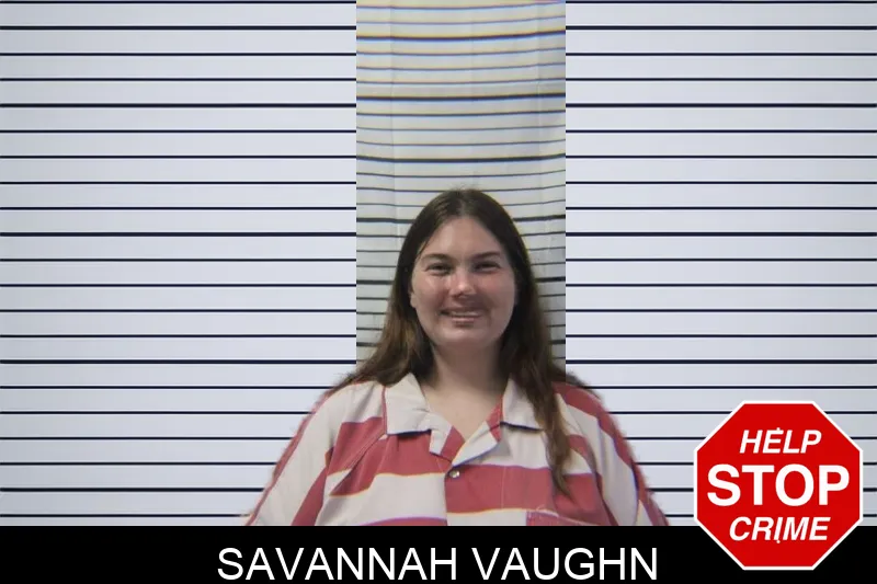 Savannah Vaughn mugshot – Stephens County , Georgia Savannah Vaughn mugshot