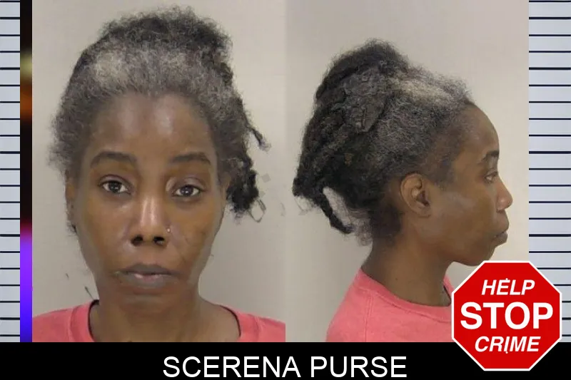 Scerena Purse mugshot
