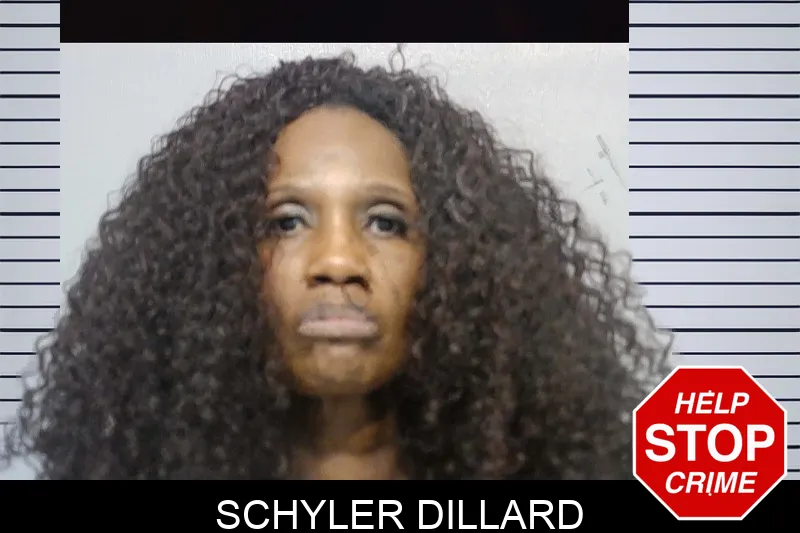 Schyler Dillard mugshot
