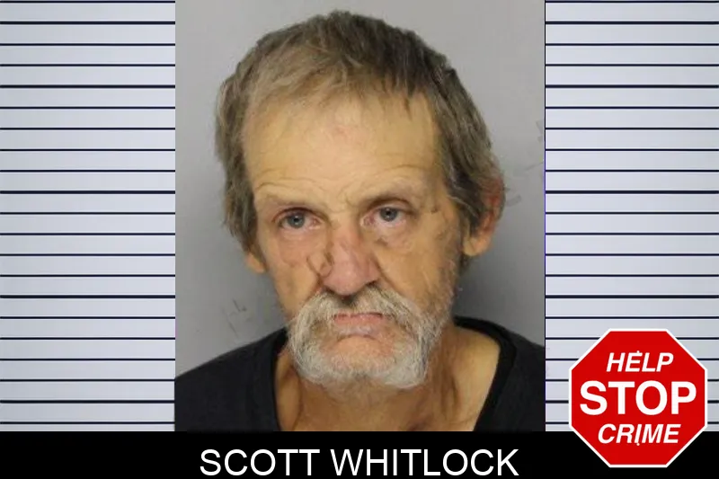 Scott Whitlock mugshot