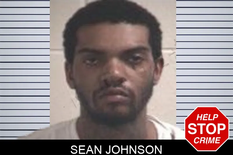Sean Johnson mugshot