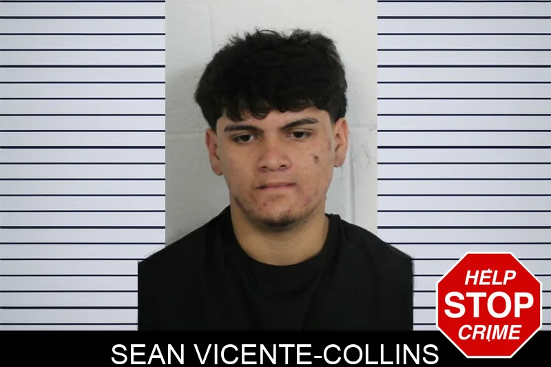 Sean Vicente-Collins mugshot