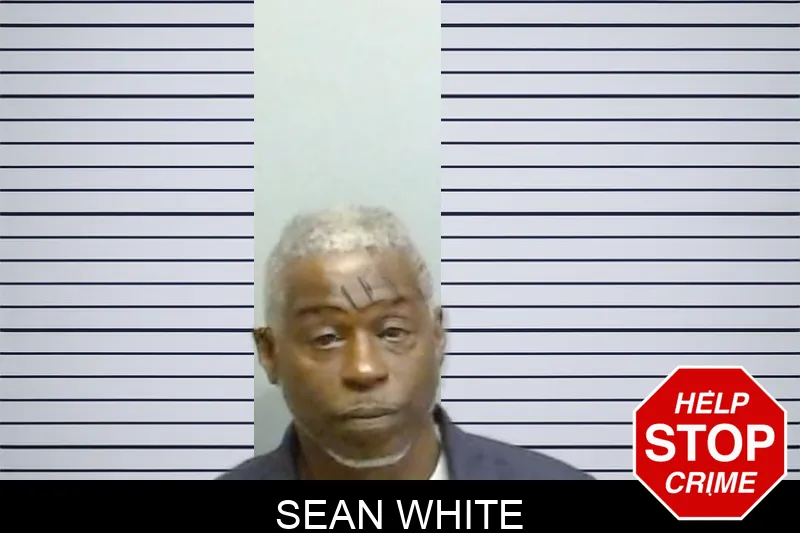 Sean White mugshot – Fulton County , Georgia Sean White mugshot