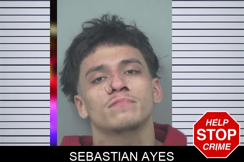 Sebastian Ayes mugshot