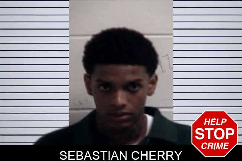 Sebastian Cherry mugshot