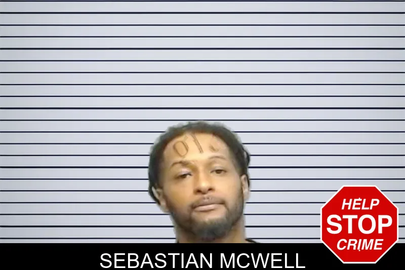 Sebastian McWell mugshot