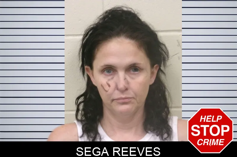 Sega Reeves mugshot – Bulloch County , Georgia Sega Reeves mugshot