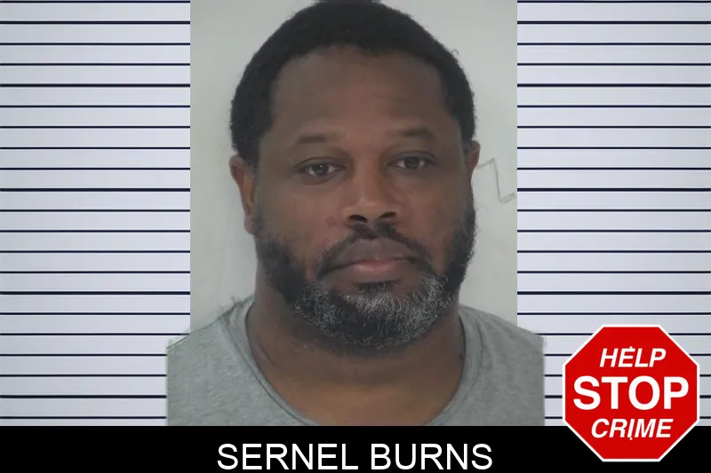 Sernel Burns mugshot