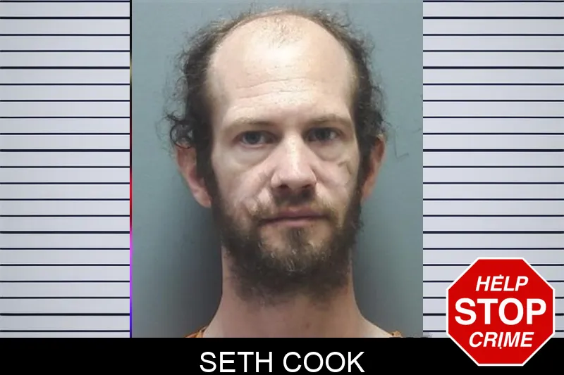 Seth Cook mugshot