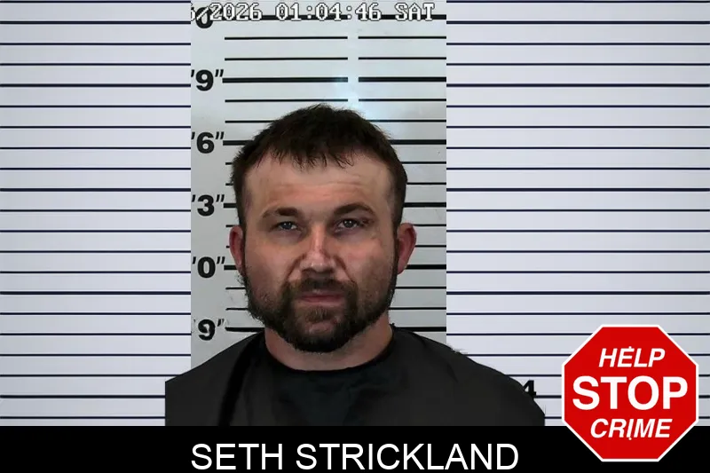 Seth Strickland mugshot