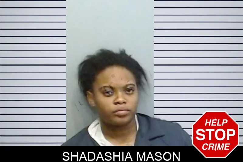 Shadashia Mason mugshot – Fulton County , Georgia Shadashia Mason mugshot
