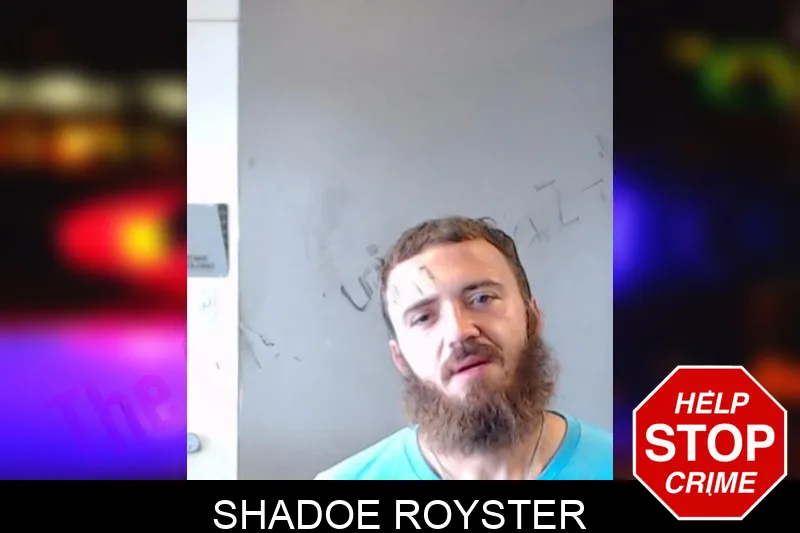 Shadoe Royster mugshot