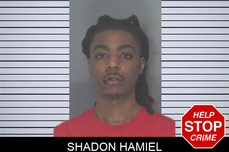 Shadon Hamiel mugshot