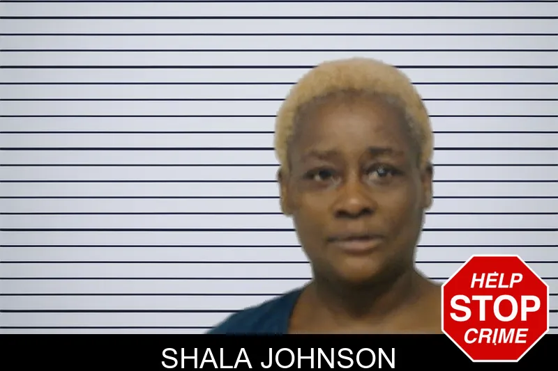 Shala Johnson mugshot