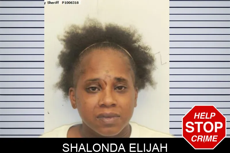 Shalonda Elijah mugshot