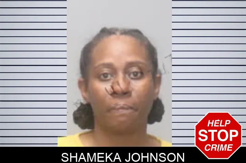 Shameka Johnson mugshot
