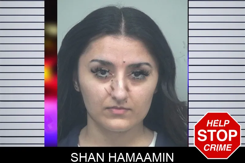 Shan Hamaamin mugshot – Gwinnett County , Georgia Shan Hamaamin mugshot