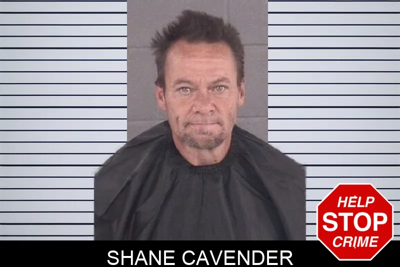 Shane Cavender mugshot
