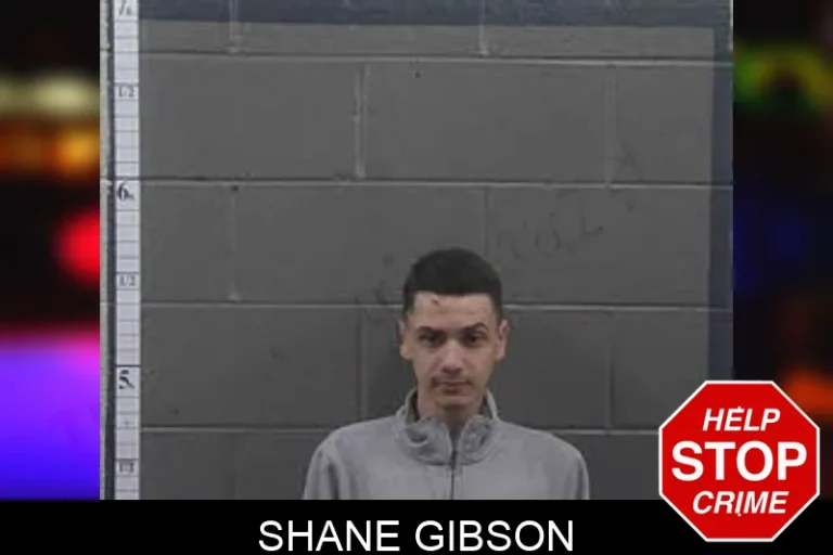 Shane Gibson