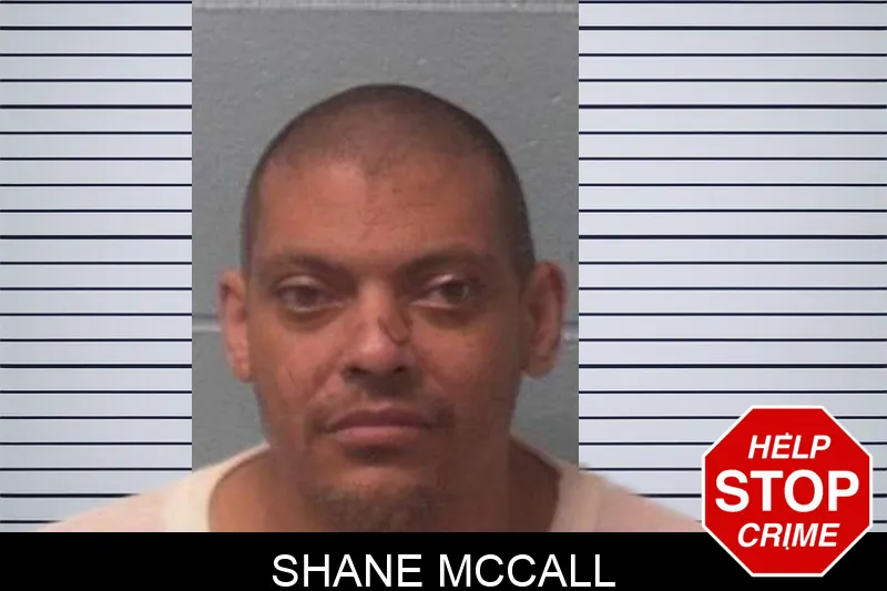 Shane McCall mugshot