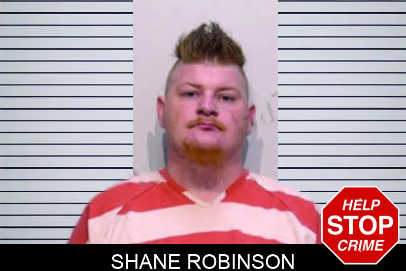 Shane Robinson mugshot – Bartow County , Georgia Shane Robinson mugshot