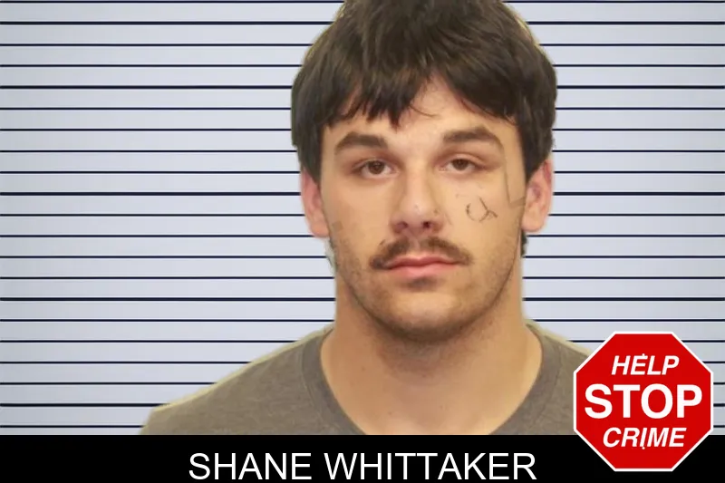 Shane Whittaker mugshot – Chatham County , Georgia Shane Whittaker mugshot