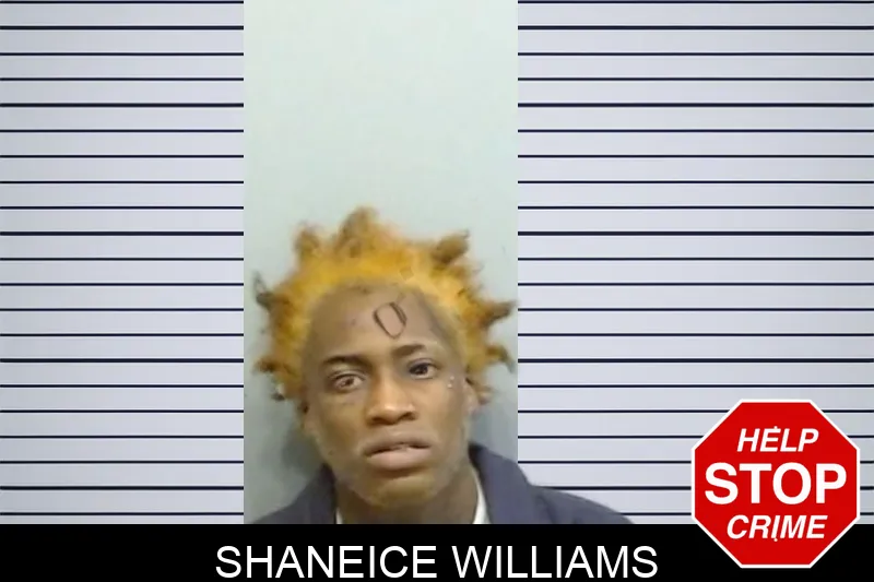 Shaneice Williams mugshot